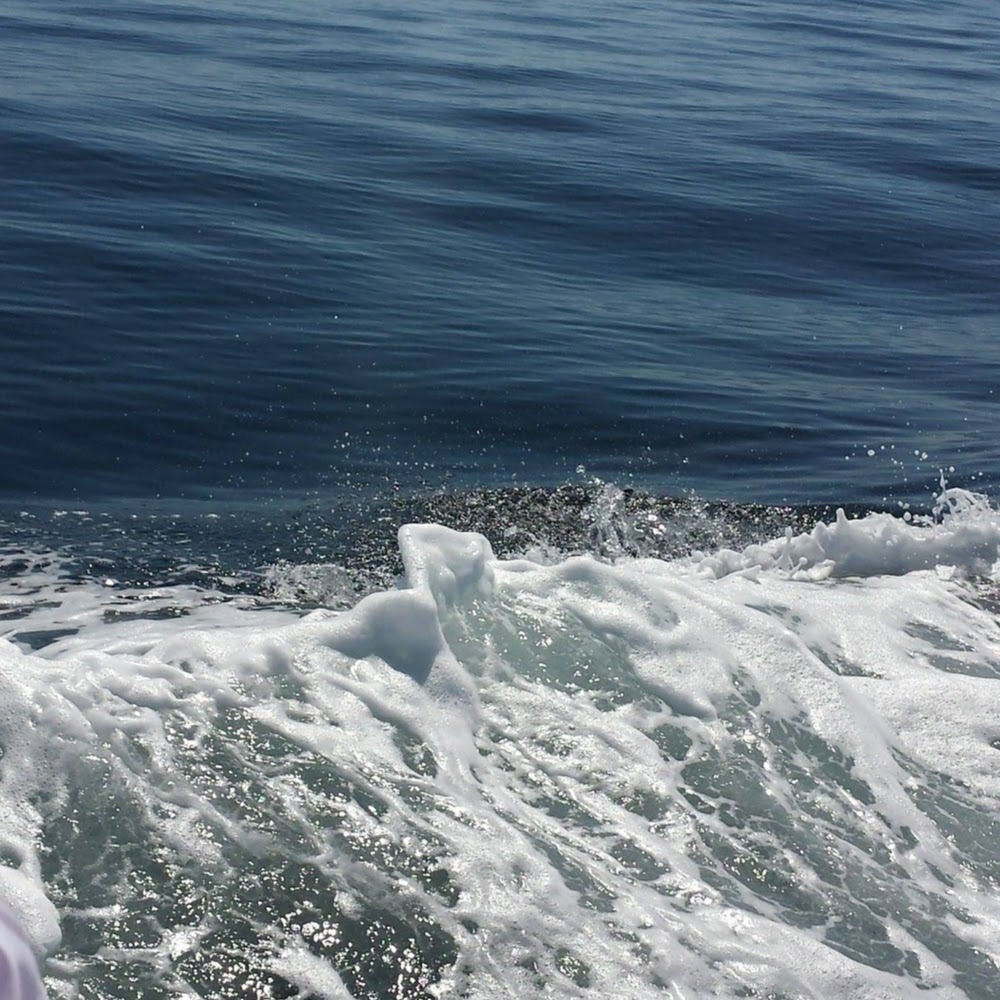 Meet your Posher, Lillian